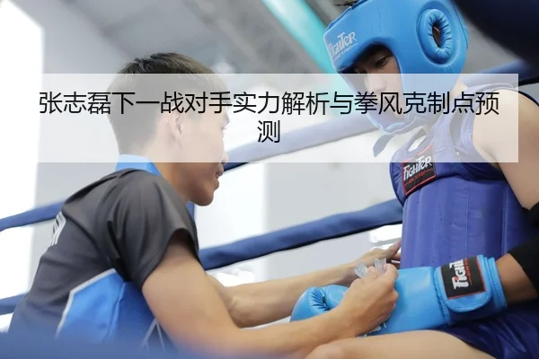 张志磊下一战对手实力解析与拳风克制点预测