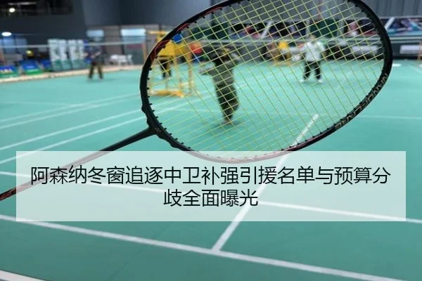 阿森纳冬窗追逐中卫补强引援名单与预算分歧全面曝光